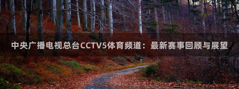jrs乐球直播免费高清观看