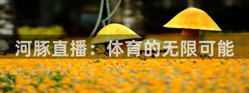 乐球直播ios正版下载入口