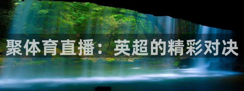 雨燕乐球直播nba