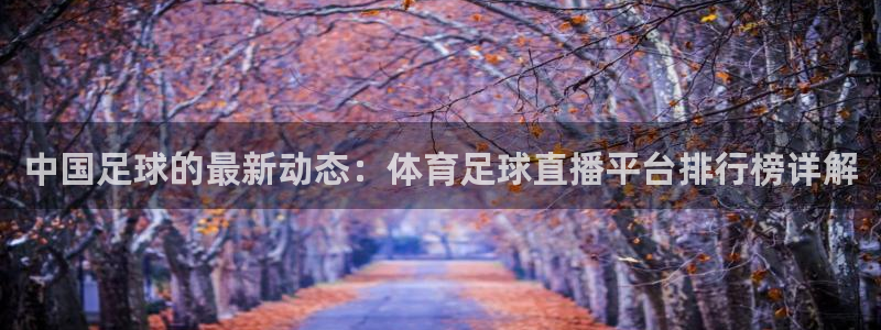 乐球直播免费观看入口