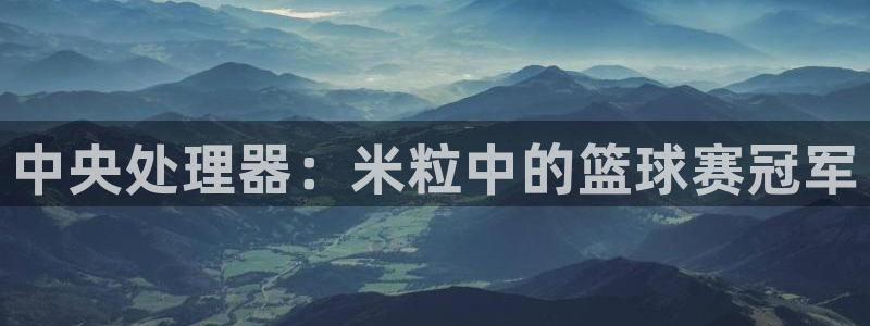 乐球直播免费体育直播app