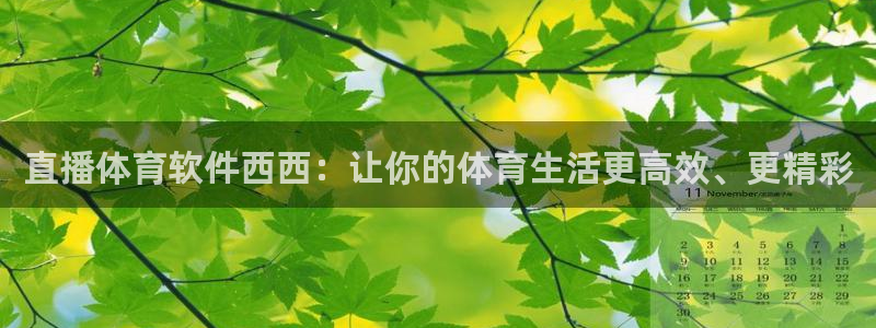 乐球直播app