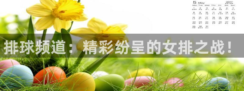 乐球直播免费观看高清版视频