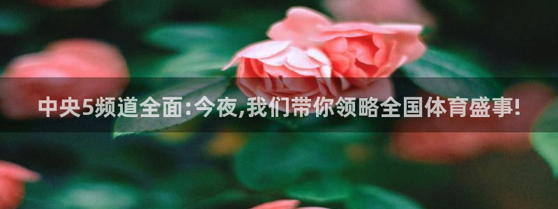 乐球直播nba免费观看方法